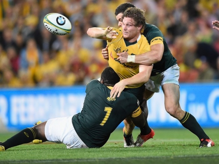 áfrica do sul vence austrália rugby preocupação torcedores