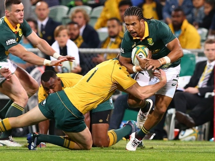 Rugby wallabies africa south vs lose springboks union australia Rugby wallabies africa south vs lose springboks union australia