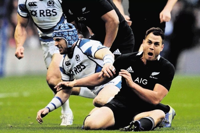 Rugby ouch painful jungle lions stuck Rugby ouch painful jungle lions stuck