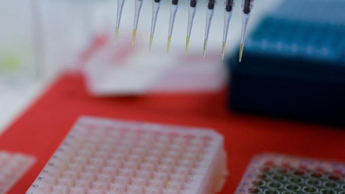 Como o Brasil busca evitar novos casos de gripe aviária?