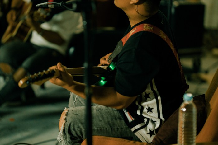 Serviços de streaming com catálogo de shows de música de luta