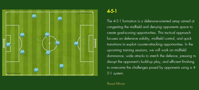 What Tactical Formation Did Spain Use to Win Euro 2012? - WORLD CLASS ... What Tactical Formation Did Spain Use to Win Euro 2012? - WORLD CLASS ...