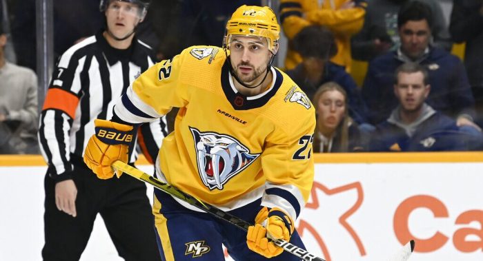 Winnipeg fails to beat Dallas - will Niederreiter join the Nati?