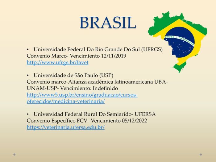 Universidade federal rio grande sul esportes