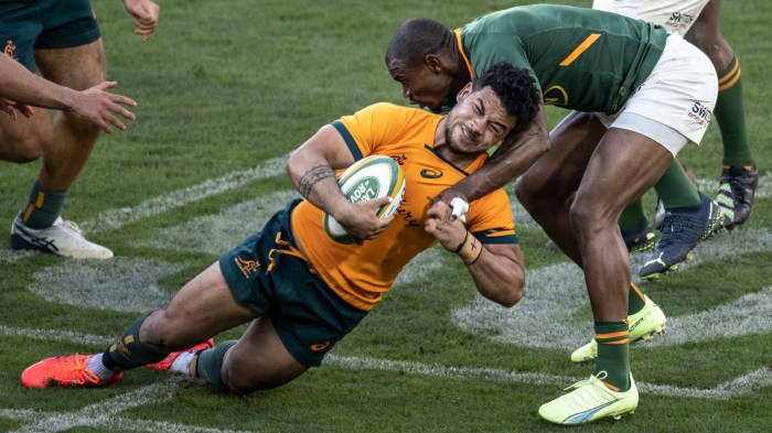 áfrica do sul vence austrália rugby preocupação torcedores