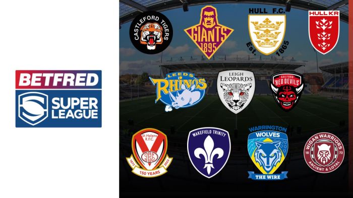 Super rugby could slash the number of teams making the finals series