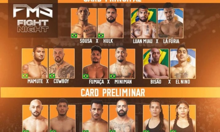 Sites para assistir shows de música de luta sem assinatura paga