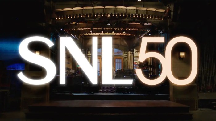 Scarlett Jonhansson Goes Pantsless in See-Through Skirt on 'SNL' Scarlett Jonhansson Goes Pantsless in See-Through Skirt on 'SNL'