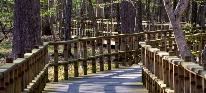 Melhores atividades ao ar livre fora dos parques nacionais do Tennessee