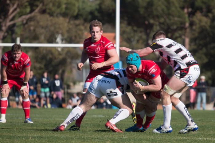Should rugby players wear helmets