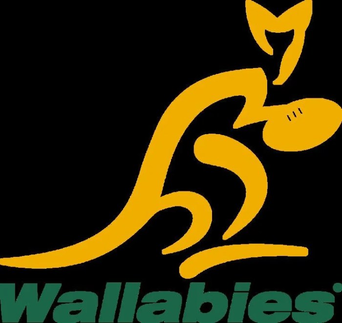 How does rugby union work