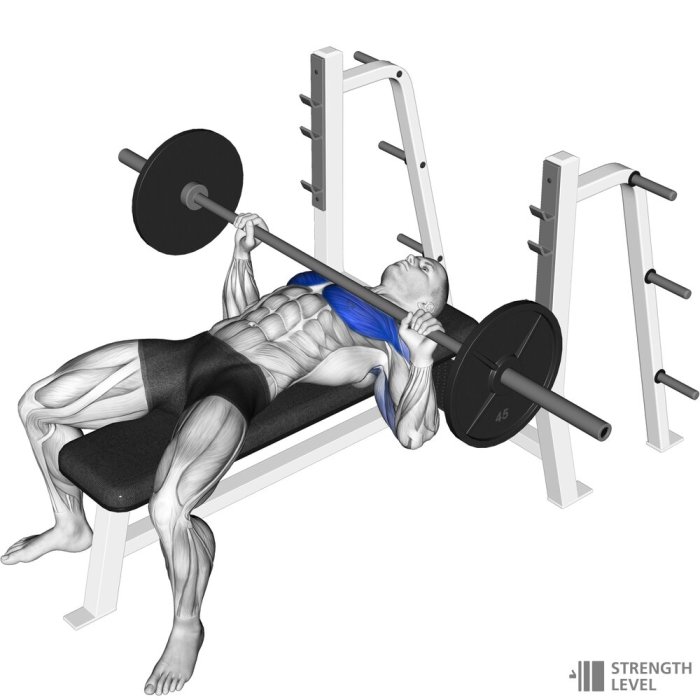 Porter hopes versatility hoping help ireland row healy hulking outliers forwards numbers squat these Porter hopes versatility hoping help ireland row healy hulking outliers forwards numbers squat these