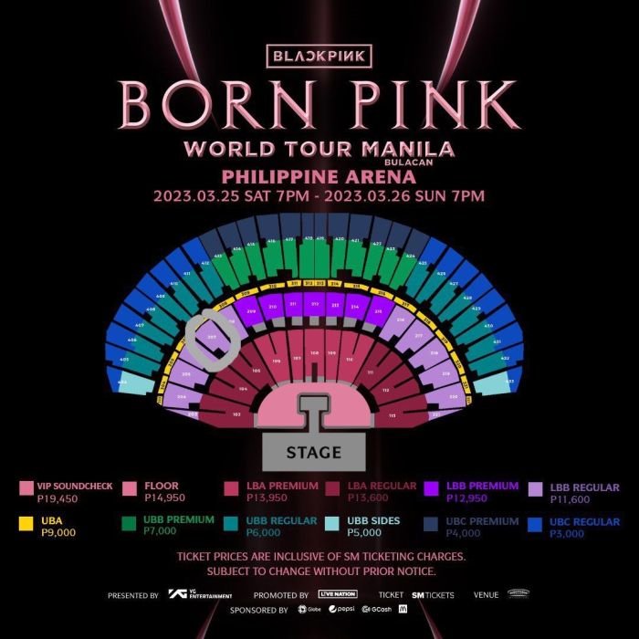 Why have concert ticket prices risen so drastically? - PUSH.fm Preços de ingressos para shows de música de luta