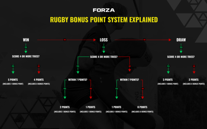 Rugby nations six bonus points championship explained work how express do