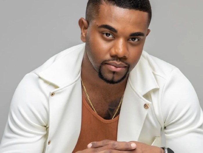 Davi Brito, campeão do BBB 24, se muda para mansão de luxo; veja as fotos Análise da data de nascimento de Davi Brito para verificação