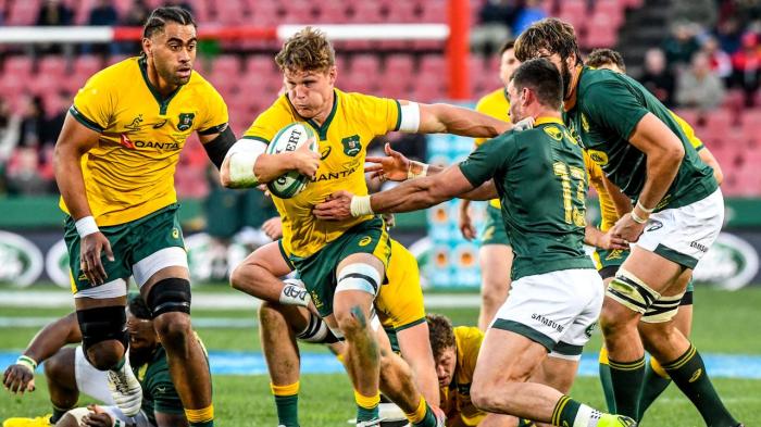 áfrica do sul vence austrália rugby preocupação torcedores