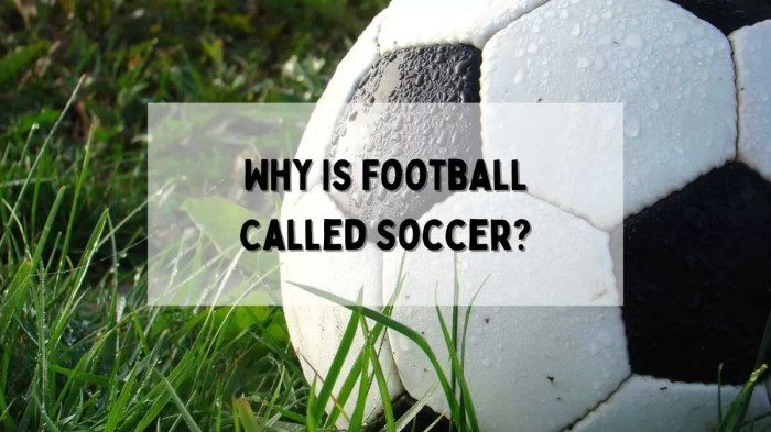 Why Is Football Called Soccer? Why is 🏈 called football?