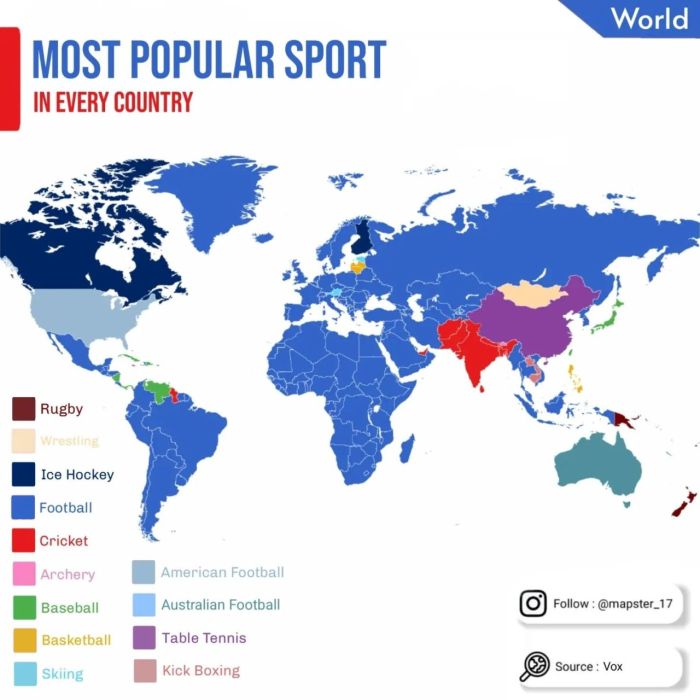 What is the biggest sport in the world?