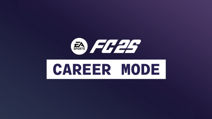 Does rugby 25 have a player career mode