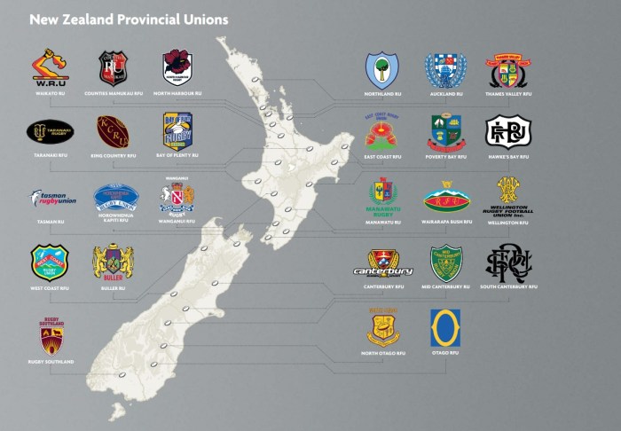 What are the rugby union leagues