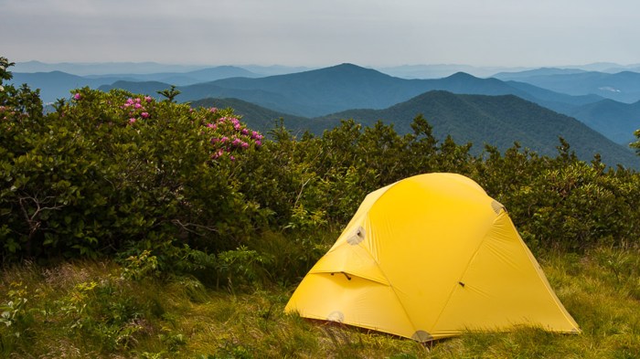 National park tennessee parks travel National park tennessee parks travel
