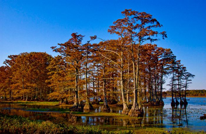 Lugares turísticos escondidos no Tennessee