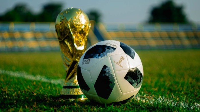 What is the biggest sport in the world?