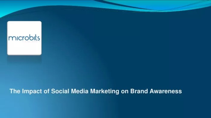 Impact of social media on consumer behaviour and brand perception .pdf Impacto das redes sociais na percepção da marca Aston Martin