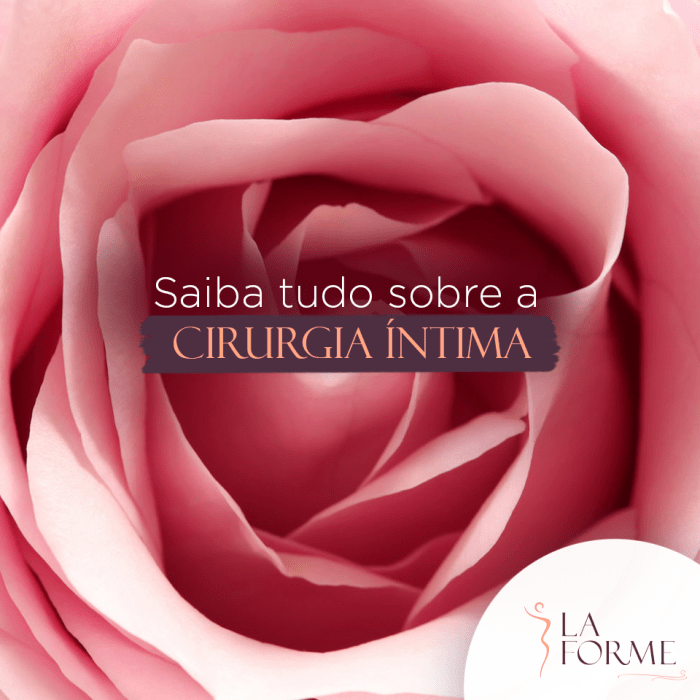 Saiba tudo sobre a cirurgia íntima feminina - La Forme Saiba tudo sobre a cirurgia íntima feminina - La Forme