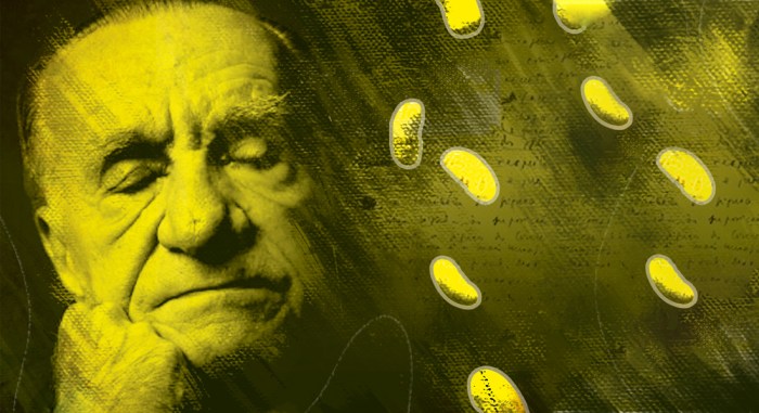 Poesia gastronômica saboreie a sinfonia da itália enquanto a massa gira ... Nosso Forno Transforma Ingredientes Em Poesia” É Um Exemplo De Qual Figura De Linguagem?