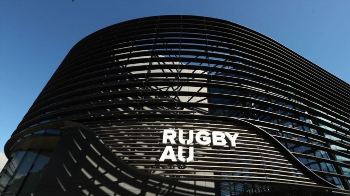 Indiana How to fix rugby eyes?