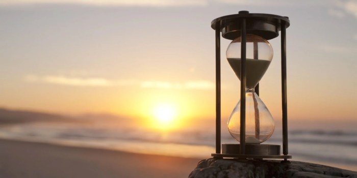 Ah, 2016! 127 coisas que aconteceram este ano resumidas em apenas uma ... Cada Coisa Que Existe