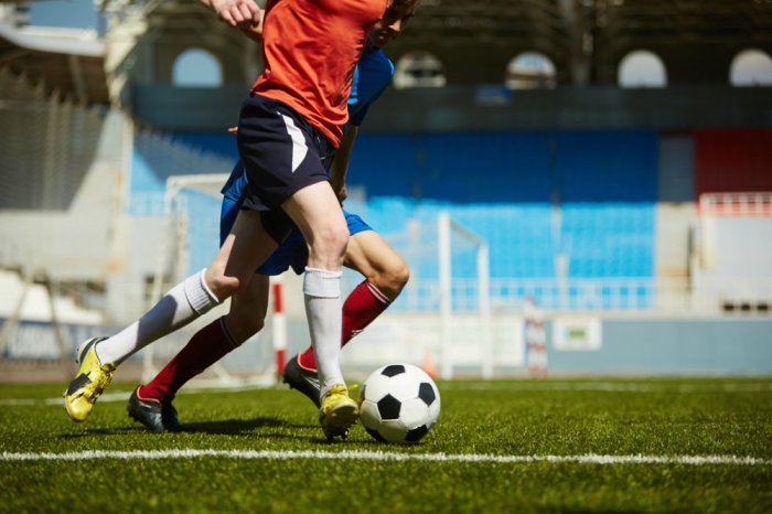 Cartola FC: entenda como jogar – ROYALpag