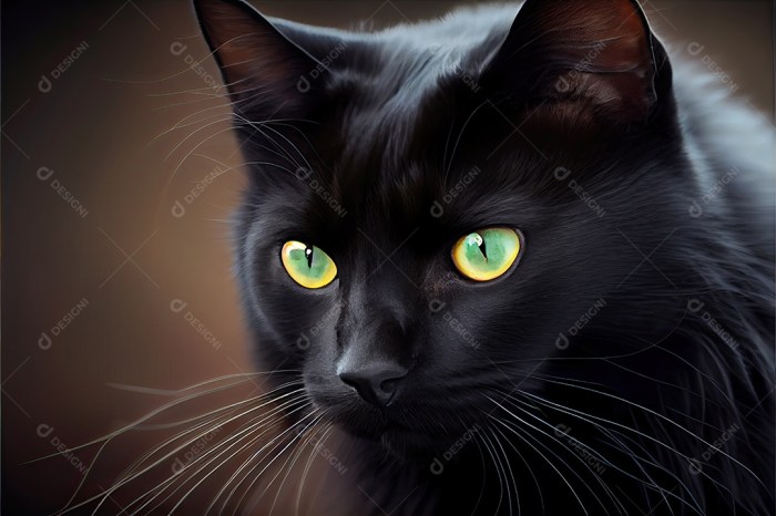 Dia da apreciação do gato preto 17 de agosto. [download] - Designi