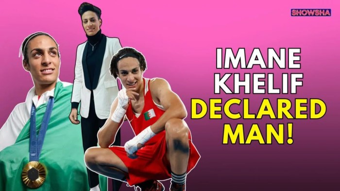 Leaked report claims Imane Khelif is biological male prompting calls ... Leaked medical report ‘proves Imane Khelif is biological male’