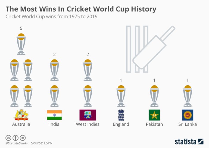 Who Won World Cup Cricket 2025 - Dillon J Clark
