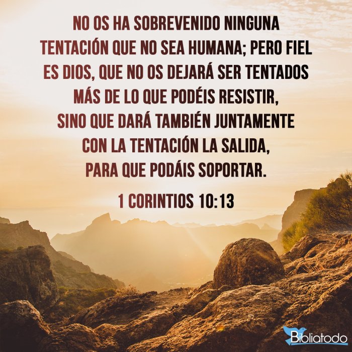 1 Corintios 13:3 Referencias Cruzadas de la Biblia | Conexiones ... 1 Corintios 13:3 Referencias Cruzadas de la Biblia | Conexiones ...