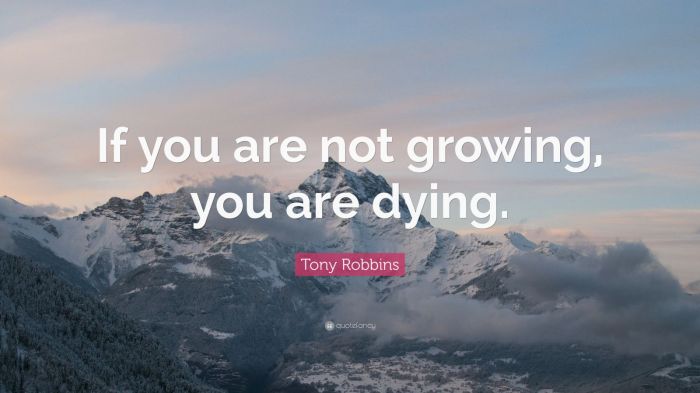 Is rugby growing or dying?
