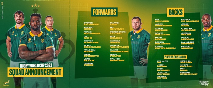 Is South Africa the best rugby team?