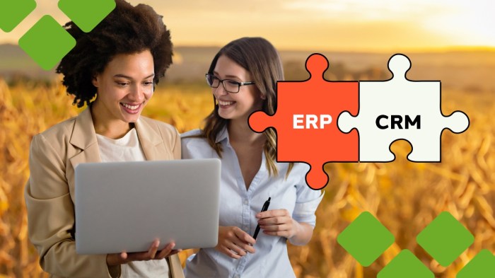 CRM e ERP: quais as diferenças entre os sistemas?