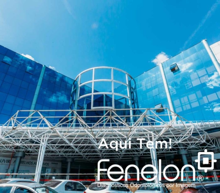 Unidades | Fenelon Www.fenelon.com.br-Area Do Paciente