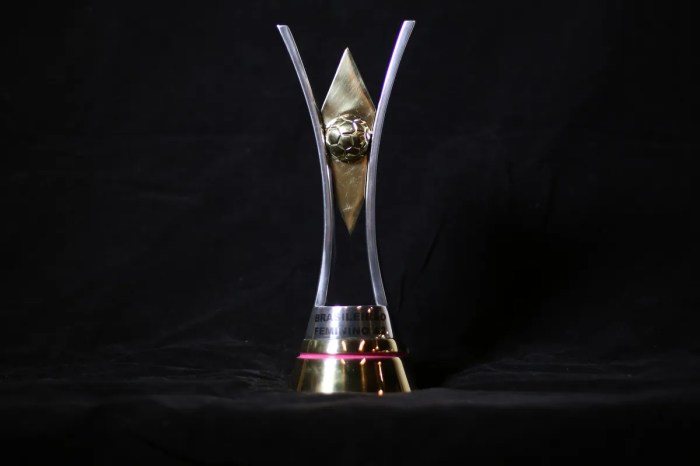 CBF divulga tabela do Brasileiro Feminino da Série A2: veja jogos ... Classificações De Campeonato Brasileiro Feminino A2