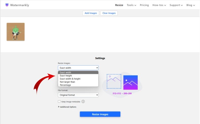 Resize GIF Online. Free GIF Resizer | Watermarkly Resize Gif
