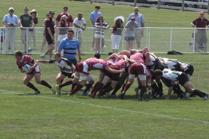 Rugby events rookie Rugby events rookie