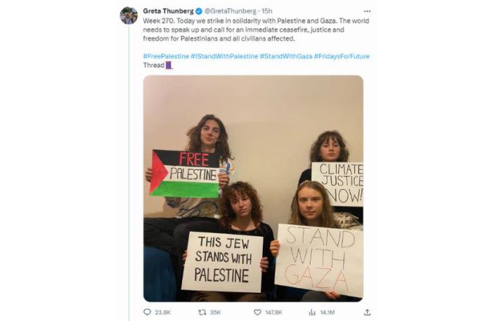 Man grabs Greta Thunberg's microphone after pro-Palestinian chants at ... Man grabs Greta Thunberg's microphone after pro-Palestinian chants at ...