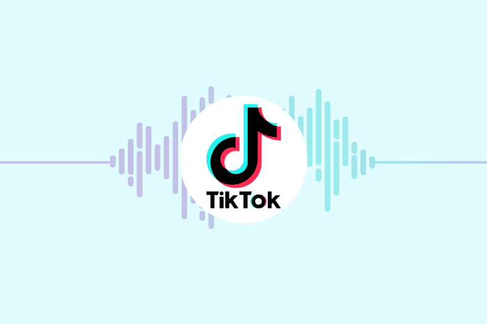 Como baixar áudio no Tiktok - Observador Digital Baixar Audio Tiktok