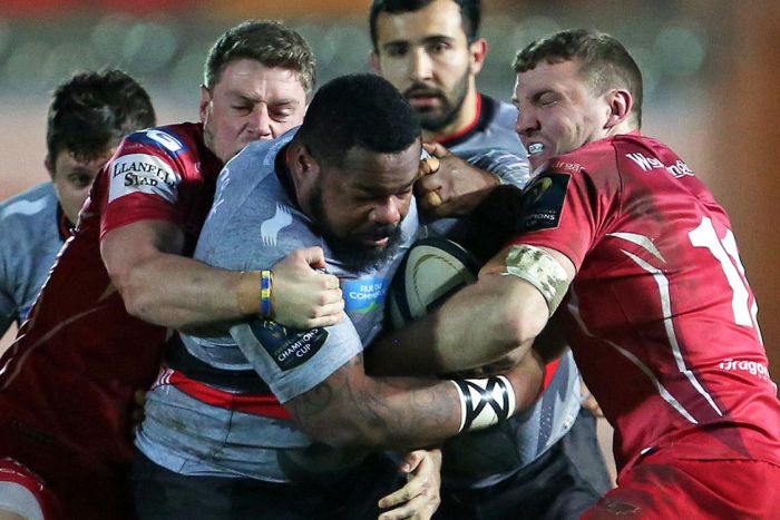 Zealand haka blacks maori dance rugby perform indomitable dna agence ashby