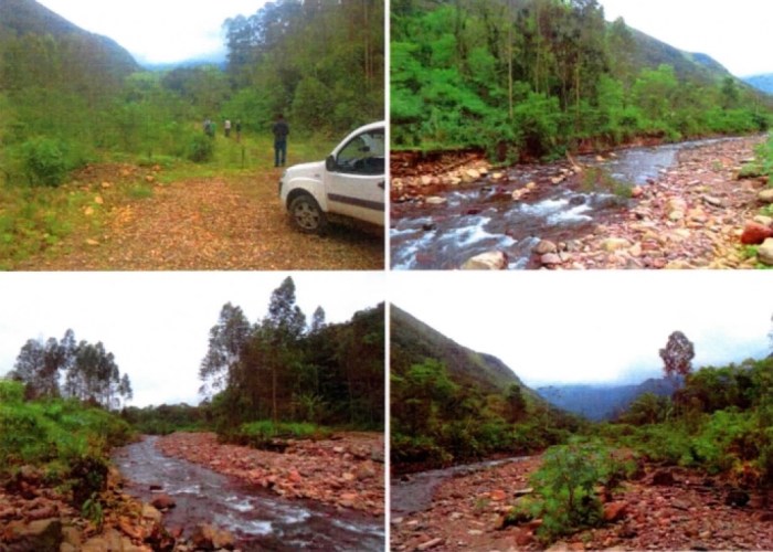 Cadeia Produtiva da Rizicultura de Alagoas recebe capacitação para ... Cadeia Produtiva da Rizicultura de Alagoas recebe capacitação para ...