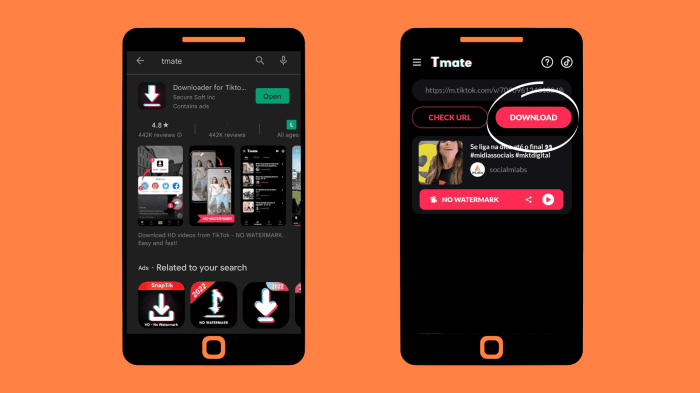 Baixar vídeo no TikTok com e sem marca d’água: veja como! Baixar vídeo no TikTok com e sem marca d’água: veja como!