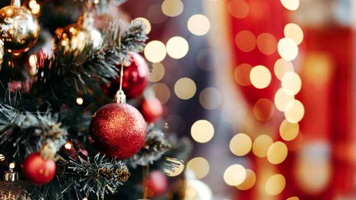 Christmas Day Observed 2025 - Ryker Wels